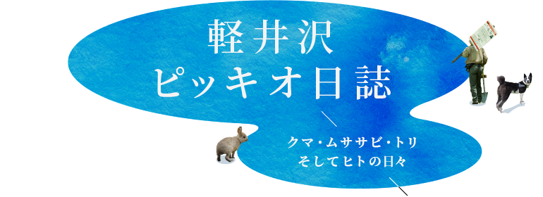 軽井沢ピッキオ日記